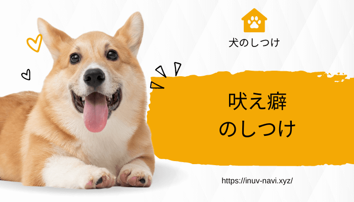 犬　吠える　しつけ